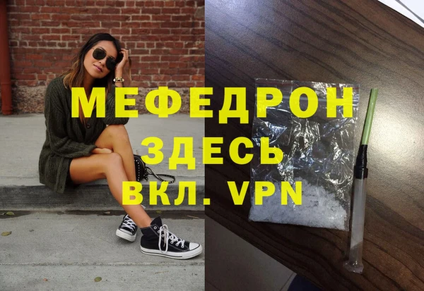 индика Сатка