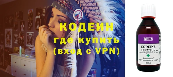 индика Сатка
