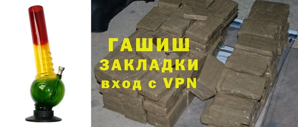 индика Сатка