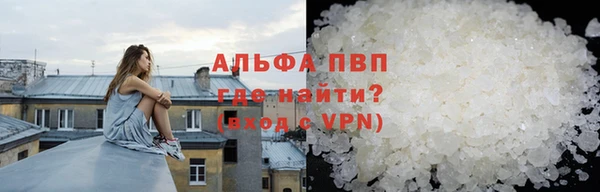 индика Сатка