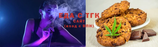 индика Сатка