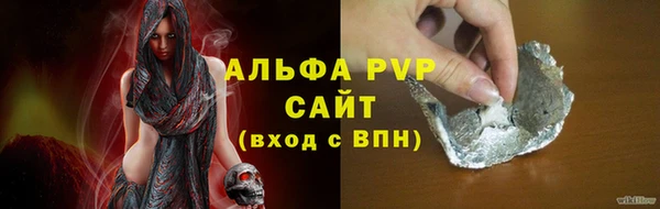 индика Сатка