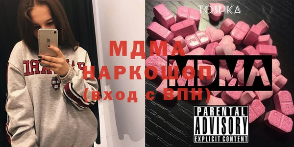 индика Сатка