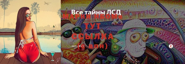 бошки Семилуки