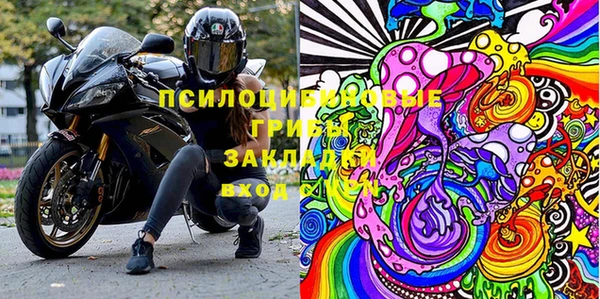 индика Сатка