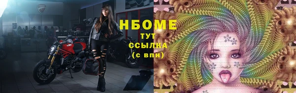 индика Сатка