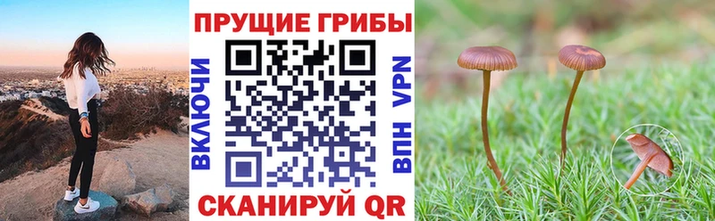 Псилоцибиновые грибы Magic Shrooms  Купить  Кунгур 